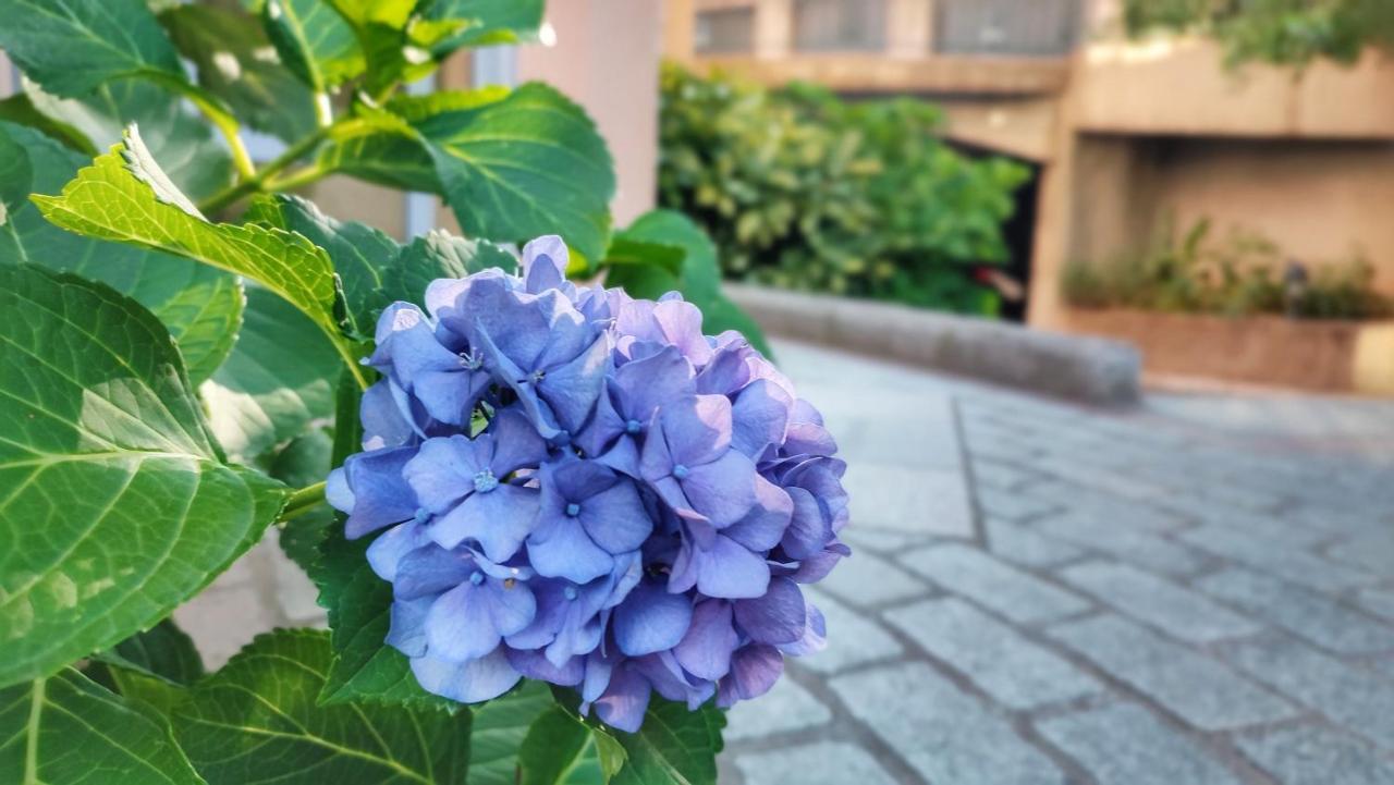 Jardin De Fleurs Apartment